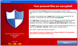 CryptoLocker Malware Pay Page