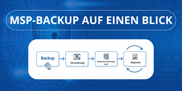 MSP-Backup-auf--einen-blick