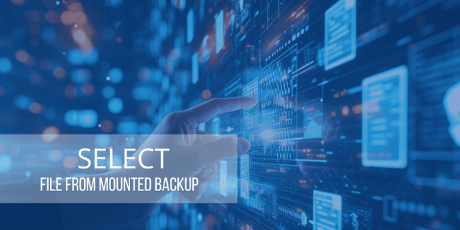 Select-a-file-from-mounted-backup