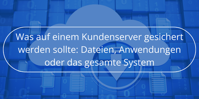 Was auf einem Kundenserver gesichert werden sollte Dateien, Anwendungen oder das gesamte System Novabackup