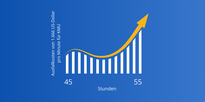 Wiederherstellungszeitkosten