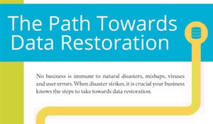 What You Need to Know about Data Restoration [INFOGRAPHIC]
